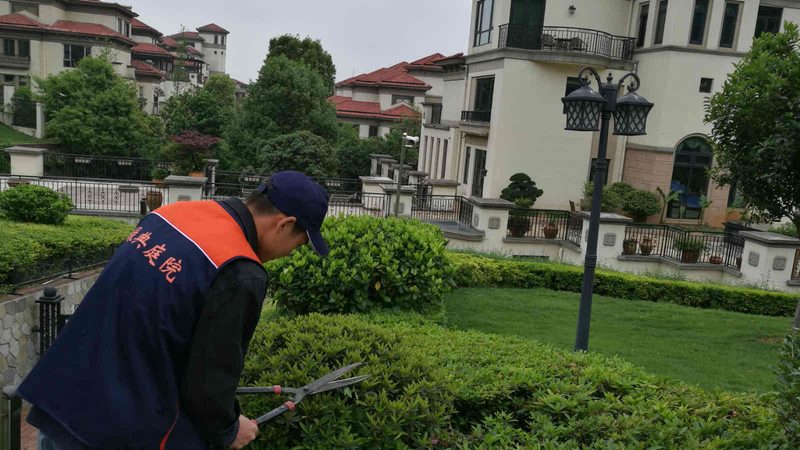 家庭草坪铺设后的养护攻略：让绿意常驻您的家园