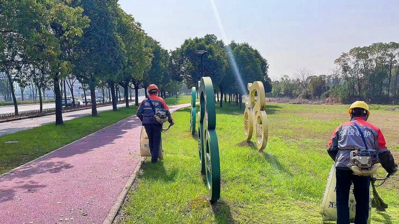 小区绿化植物搭配设计，打造宜居生态家园