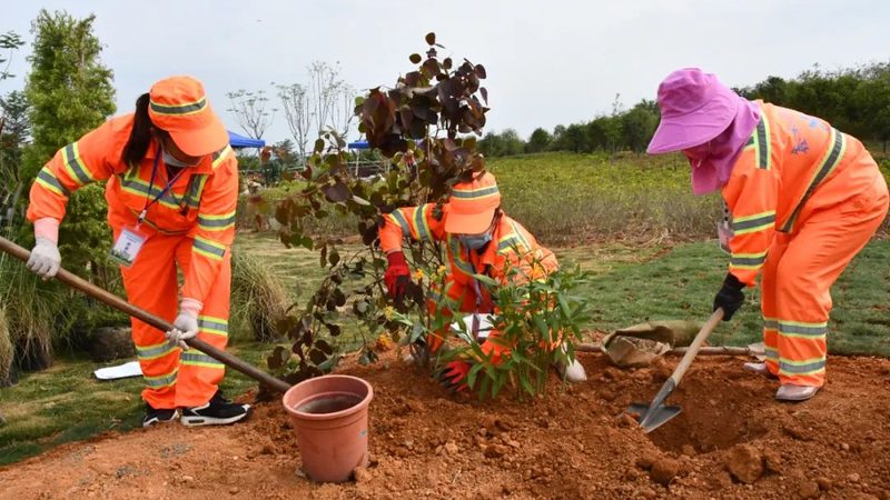 边坡绿化客土喷播：技术解析与加盟代理要点**