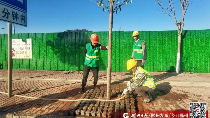 草坪基础没做好，再贵的草皮也白搭
