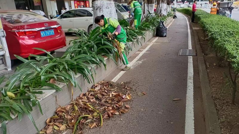 立体绿化：城市绿化新宠