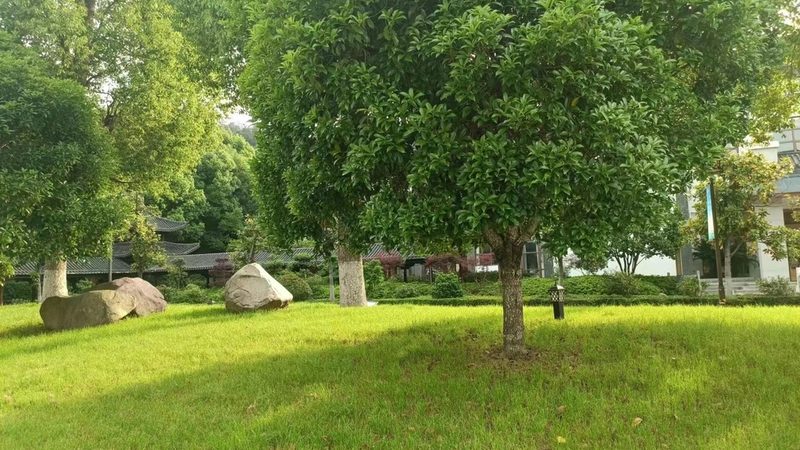 绿化资质年审与换证：区别与要点解析