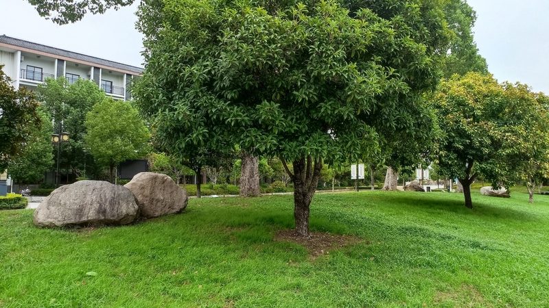 边坡客土喷播植草，这些注意事项你了解吗？**