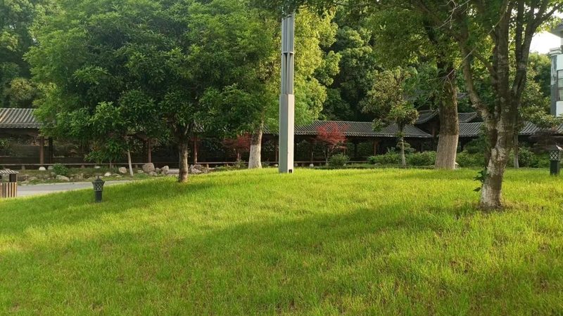 小型苗木种植加盟扶持政策解析：扶持力度与加盟要点**