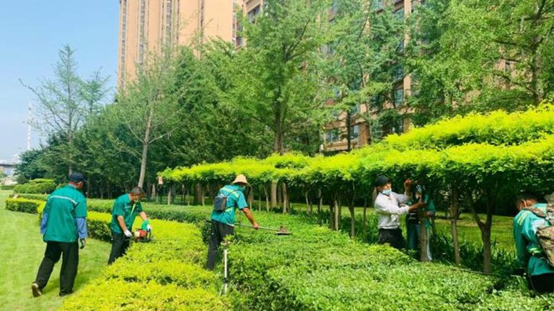 庭院灯光设计参数包括哪些